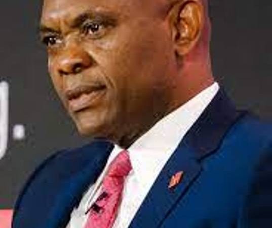Elumelu Makes One Demand From African Policy Makers
