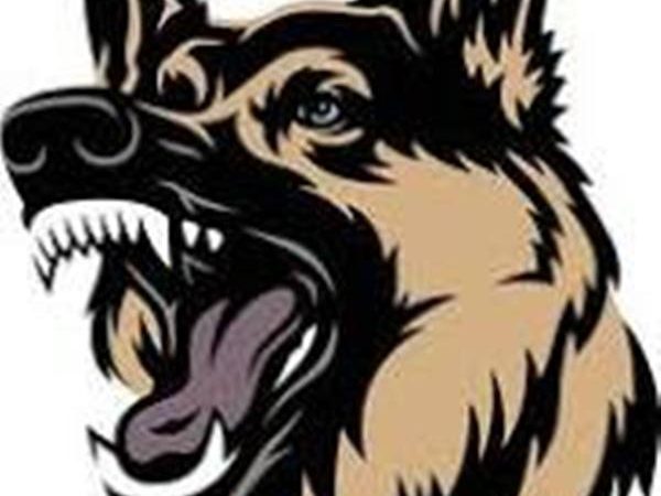 Difference Between Attack Dogs And Spokespersons