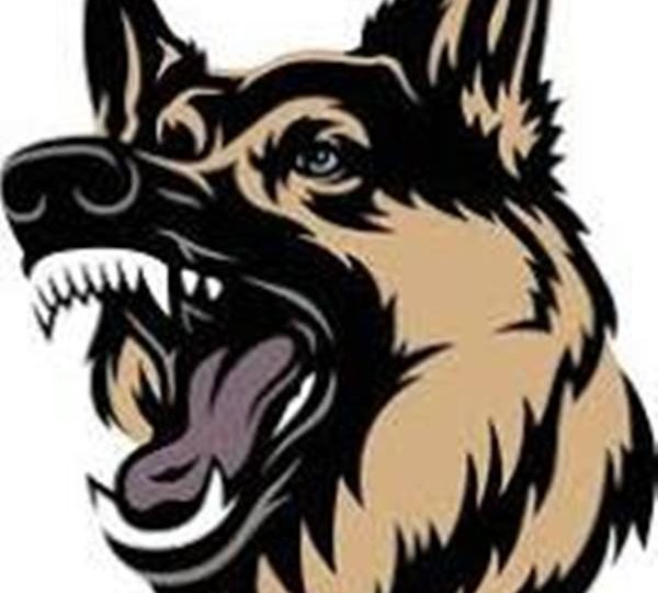 Difference Between Attack Dogs And Spokespersons