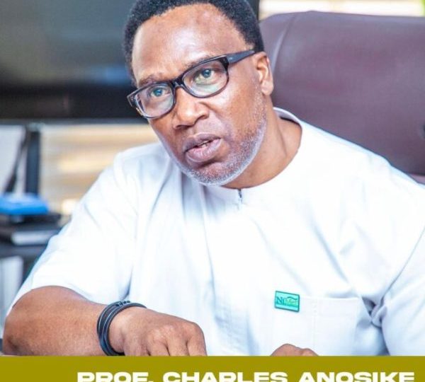 NiMet Has Safeguarded Aviation Operations, Says Keyamo