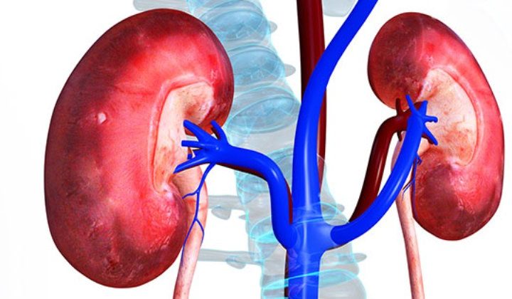 Amidst Insecurity, Nigeria’s Youth Population Hit By Mental, Drug, Kidney Problems
