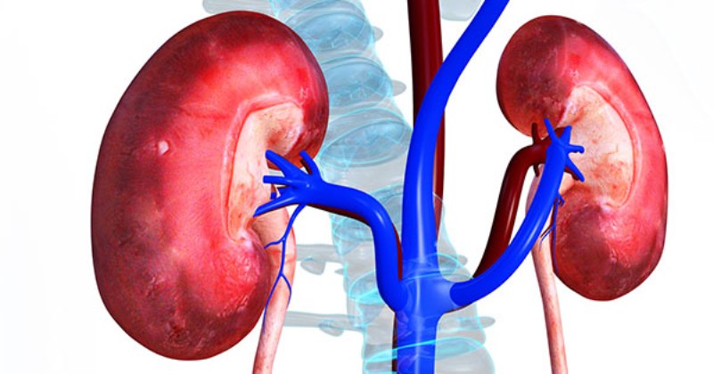 Amidst Insecurity, Nigeria’s Youth Population Hit By Mental, Drug, Kidney Problems