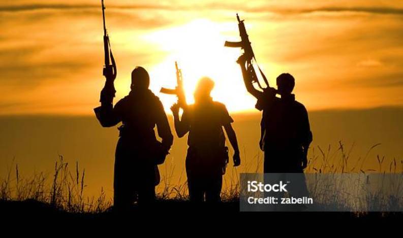 The Nature Of Forest Banditry, Solution, By A Victim